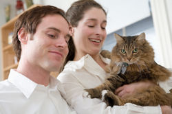 Pets couple with cat.jpg