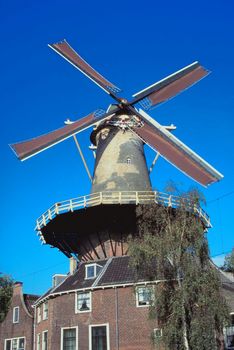 Windmill.jpg