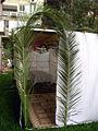 Sukkot sukkah.jpg