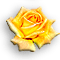 Rose-Yellow.gif