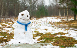 Burning-Snowman-Day.jpg