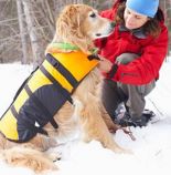 Dog in snow sm.jpg