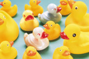 Rubberduckies.jpg