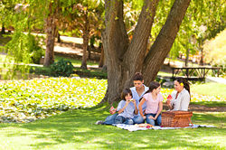 Picnic-Day.jpg
