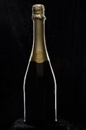 Champagne bottle silhouette sm.jpg