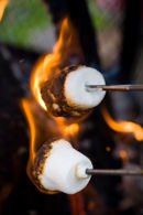 Smores.jpg