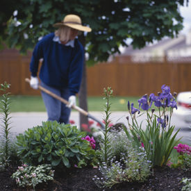 Gardener.jpg