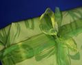 Green wrapped gift sm.jpg
