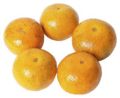 Tangerine group of 5.jpg