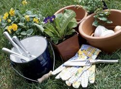 Gardening items.jpg