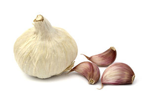 Garlic-Day.jpg