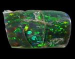 Black Opal fossil sm.jpg