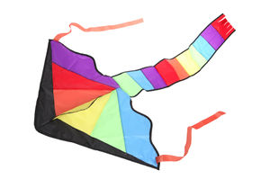 Kite-Flying-Day.jpg