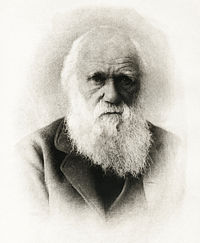 Darwin.jpg