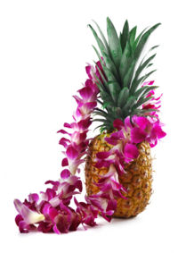 HawaiianLuau.jpg