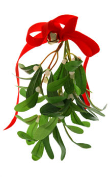 Mistletoe.jpg