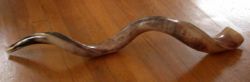 Shofar.jpg